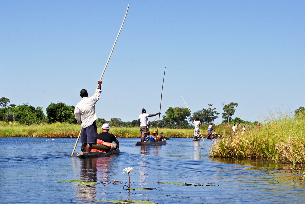 Safari in a canoe