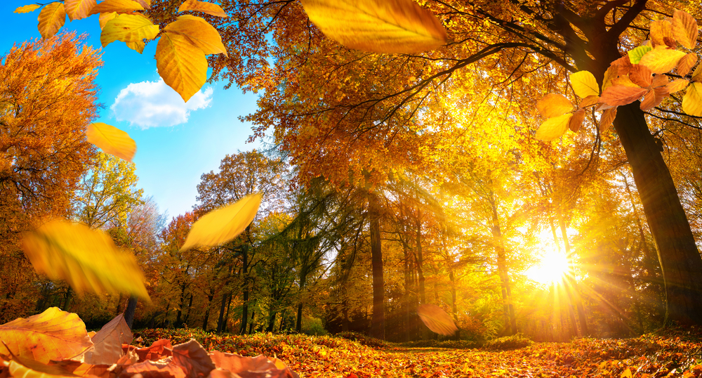 Sunny Autumn Getaways