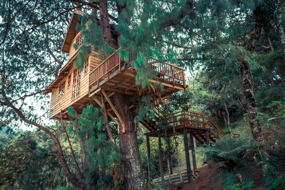 Treehouse Adventures!