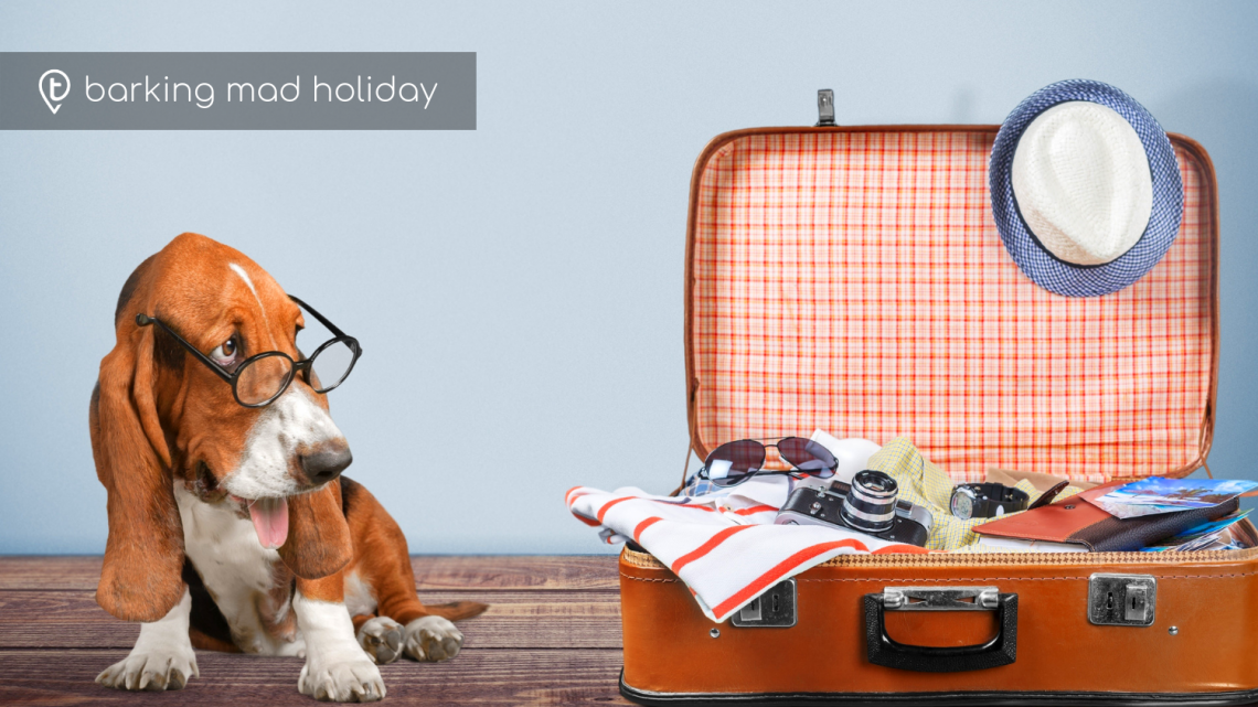 Pet Friendly Holidays – Am I Barking Mad?