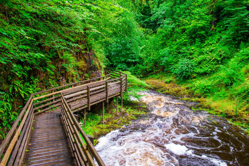 Glenariff Forest Park | Antrim | Ireland