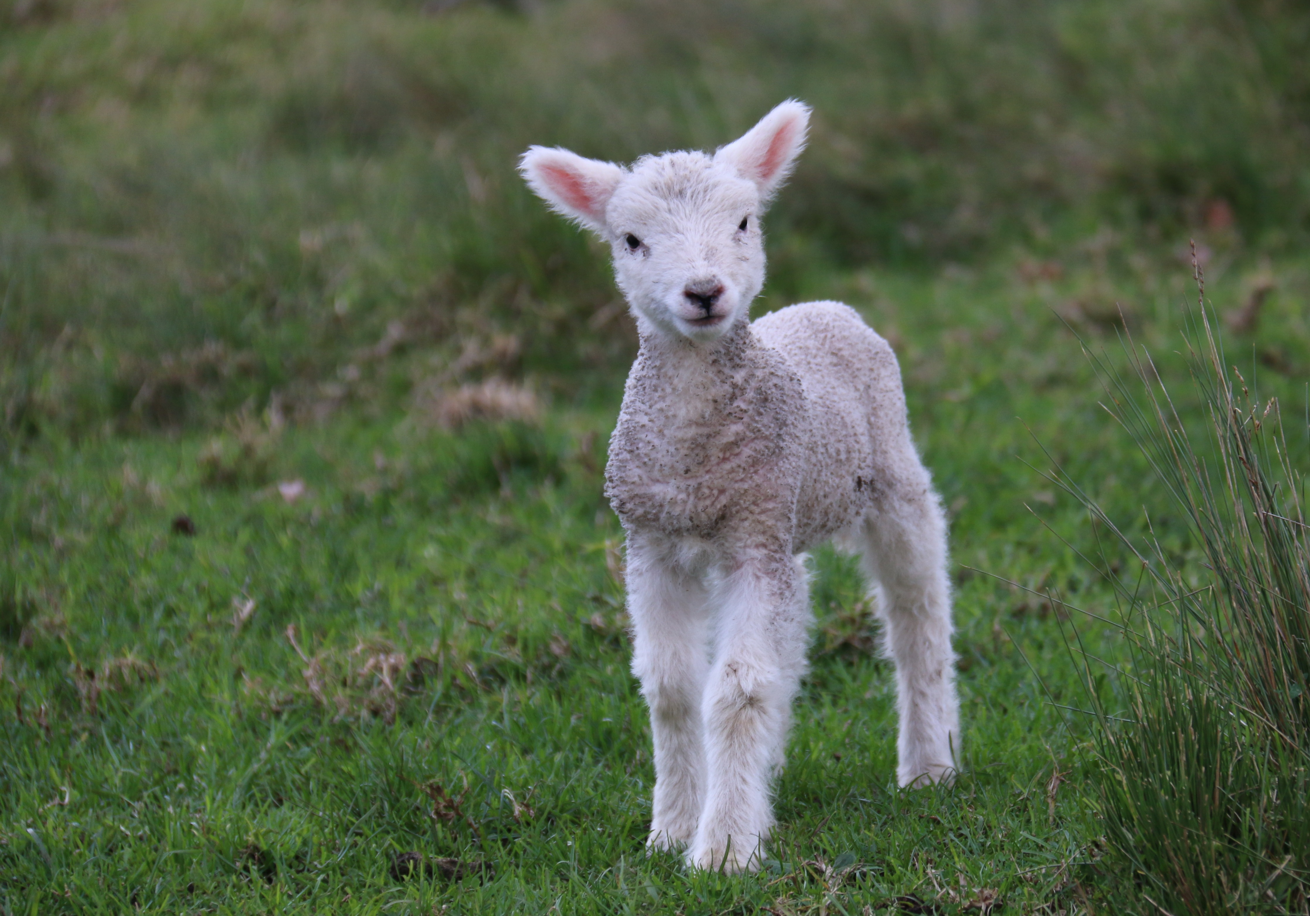 Making the Most of Easter Holidays in the UK