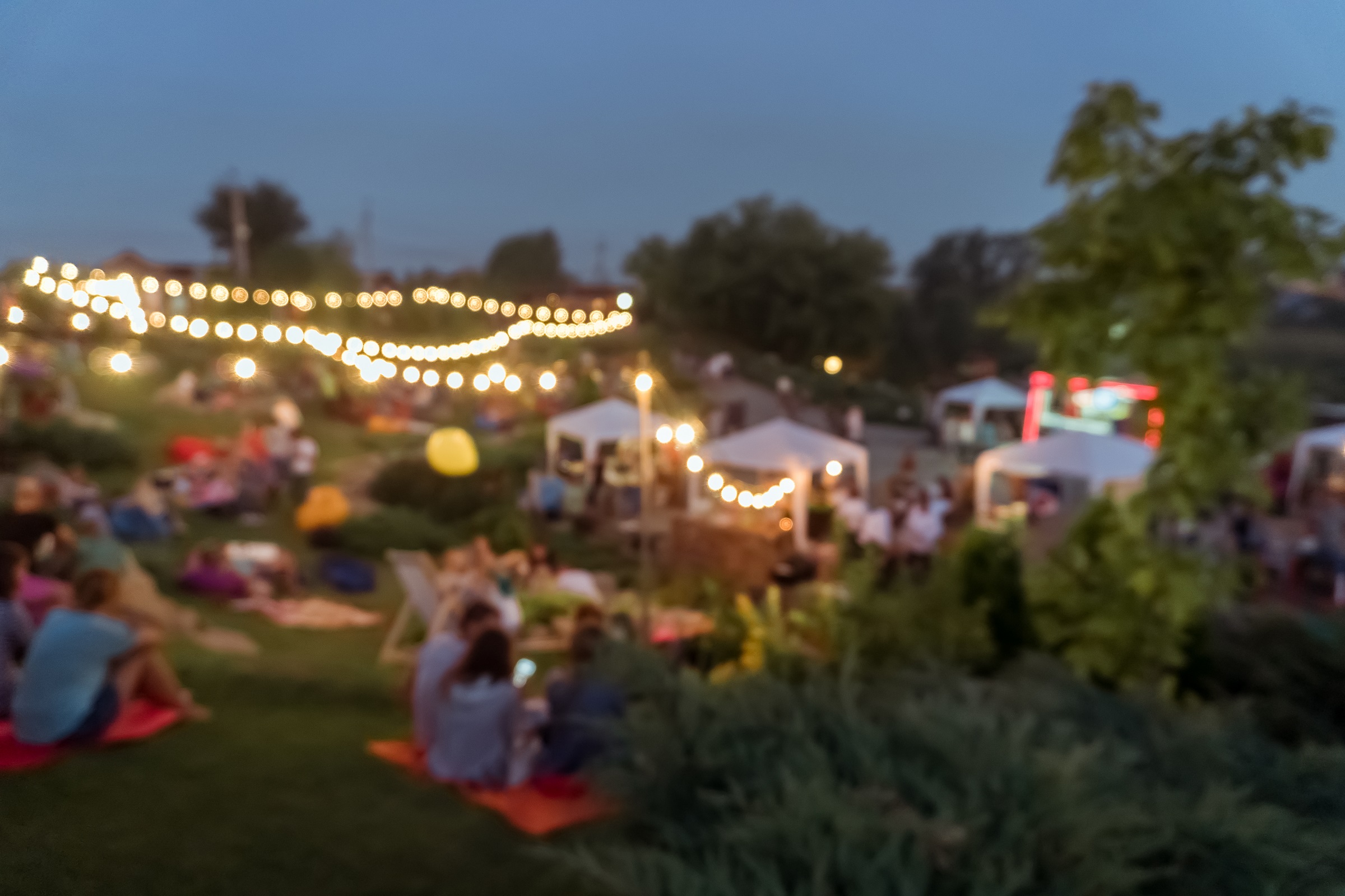 festival crowd