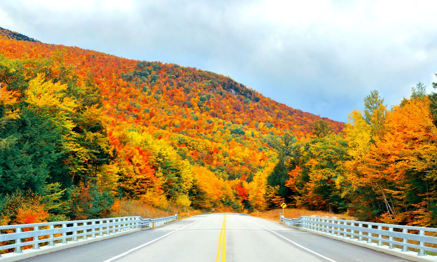 Road with red and orange trees around it. 