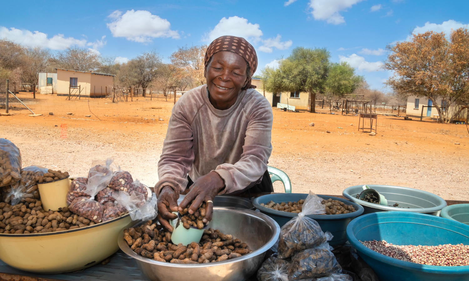 Street vendor in Botswana