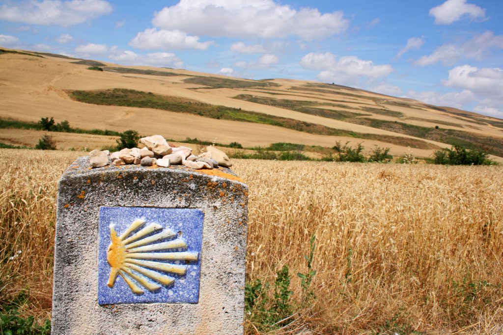 Camini De Santiago